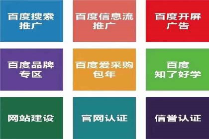 百度推广代理商成功案例：某行业巨头背后的推手